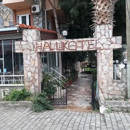 Haluk *