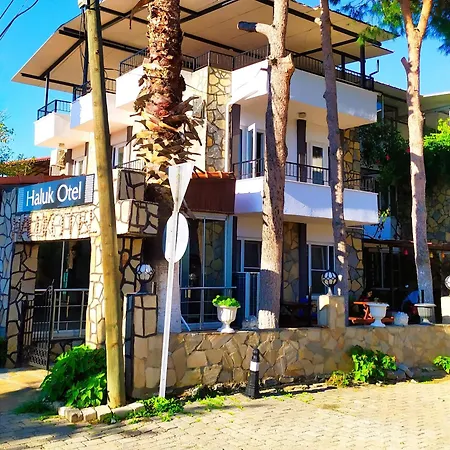 Hotel Haluk Oren (Milas)